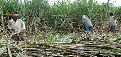 Etanol será tema central em encontro de líderes de Brasil e Índia