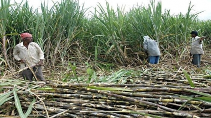 Etanol será tema central em encontro de líderes de Brasil e Índia