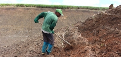 Chuva ajuda no plantio de cana em áreas de encostas
