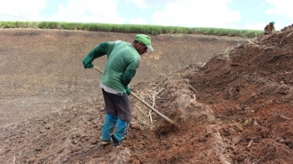 Chuva ajuda no plantio de cana em áreas de encostas
