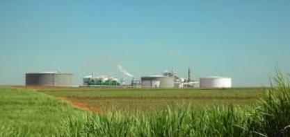 RenovaBio impulsiona a posição estratégica dos biocombustíveis