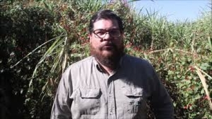 Tour Stone 2019 passou por diversas regiões canavieiras