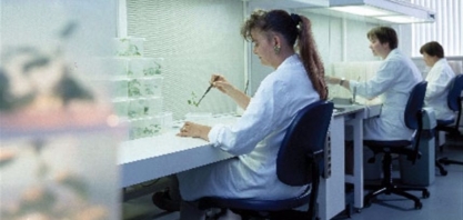 Cientista desenvolve culturas que levam 100% de vantagem