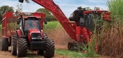 Cana: Centro-Sul processa 46,085 mi de t na 2ª quinzena de junho