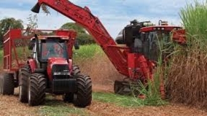 Cana: Centro-Sul processa 46,085 mi de t na 2ª quinzena de junho