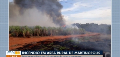 Pastagem e plantação de cana-de-açúcar são atingidas por incêndio