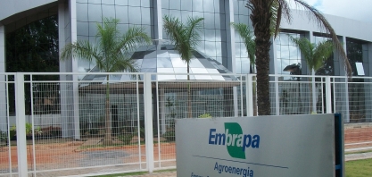 Representantes do BRICS visitam unidades da Embrapa em Brasília