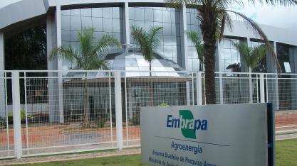 Representantes do BRICS visitam unidades da Embrapa em Brasília