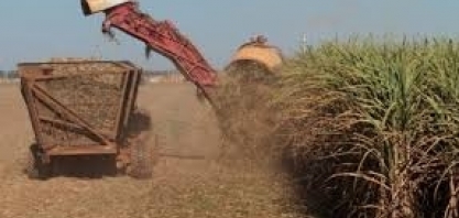 Mato Grosso está indo na contramão do Brasil, afirmam setores econômicos sobre revisão de incentivos fiscais