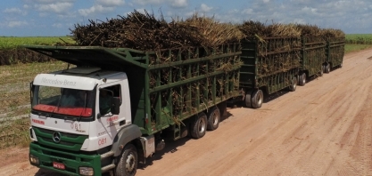 Usina Pindorama inicia safra de cana 2019/2020