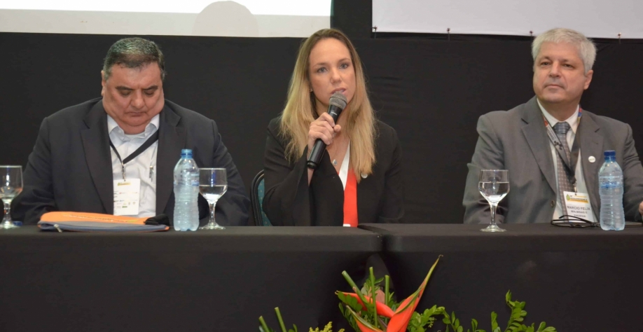 Amanda Gondin, coordenadora da Rede Brasileira de Bioquerosene e Hidrocarbonetos Renováveis para Aviação