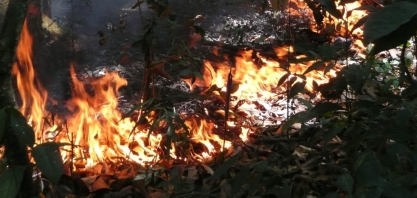 No comando da UE, Finlândia propõe proibir a carne brasileira