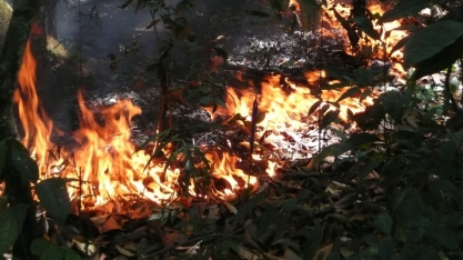 No comando da UE, Finlândia propõe proibir a carne brasileira
