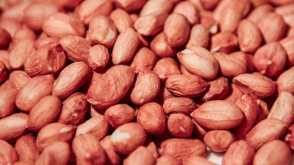 Feira sedia XVI Encontro Sobre a Cultura do Amendoim