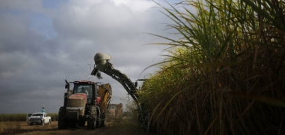 Ener Sugar repagina usina parada com R$ 5 mi e volta ao mercado em 2020 com cana garantida 