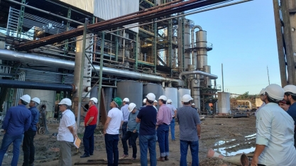 Pesquisadores em cana do Brasil visitam usina Coaf em Pernambuco