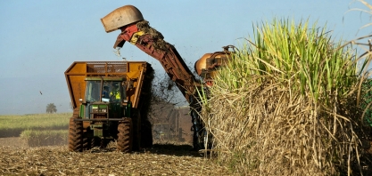 A demanda chinesa aquece a indústria brasileira de etanol