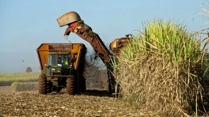 A demanda chinesa aquece a indústria brasileira de etanol