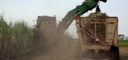 Açúcar: Mais álcool