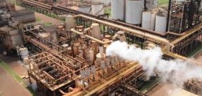 Mercado de US$ 400 bi para os próximos 20 anos, bioeconomia entra na pauta do congresso