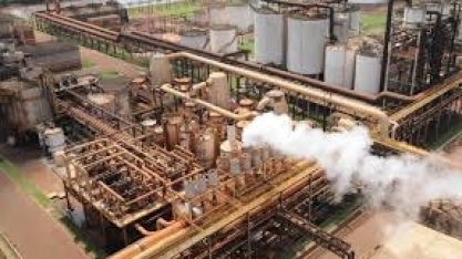 Mercado de US$ 400 bi para os próximos 20 anos, bioeconomia entra na pauta do congresso