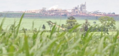 Salto na produção de etanol em MS deve chegar a 8,6 milhões de litros