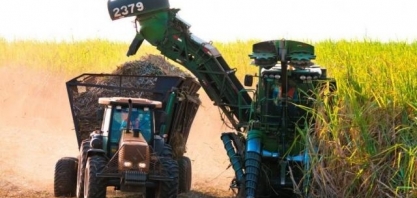 Moagem de cana-de-açúcar chega a 28,9 milhões de toneladas em MS
