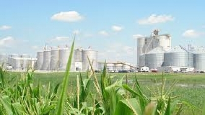 Etanol/EUA: produção avança 0,48% na semana, para 1,045 mi de barris/dia
