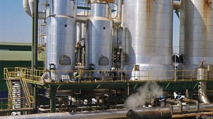Produção de etanol em Pernambuco será de 420 milhões de litros