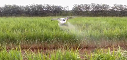 Cooperativa usa drones para pulverização de lavouras