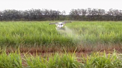 Cooperativa usa drones para pulverização de lavouras