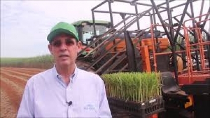 Ismael Perina reduziu o custo de plantio em sua propriedade em quase 30%