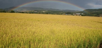 Governo quer que preço mínimo para produto agrícola pare de passar pelo CMN