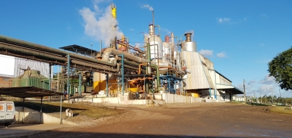 Pindorama aposta na diversificação de produtos do mix da cana