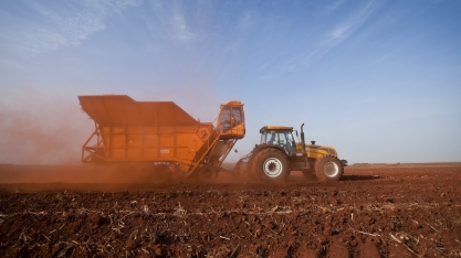 Plantadoras de tolete estão evoluindo e oferecem custo com plantio em torno de 25% menor que o manual esparramado