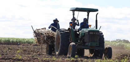 Plantadeiras reduzem custos de produção da cana