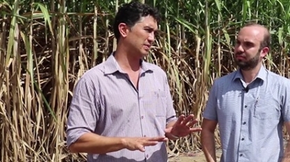 Expectativa de retomada do setor canavieiro anima fornecedores de cana e usineiros em AL