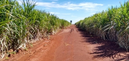 Boletim de monitoramento da cana | LNBR/CNPEM