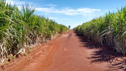 Boletim de monitoramento da cana | LNBR/CNPEM