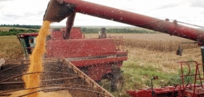 É preciso mudar a maneira como se produz alimento no mundo, alerta IPCC