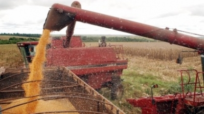 É preciso mudar a maneira como se produz alimento no mundo, alerta IPCC