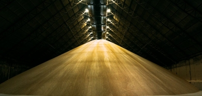 OMC aprova abertura de painel contra Índia