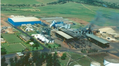 Bunge reverte prejuízo e tem lucro líquido de US$ 214 milhões no 2º tri