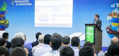 São Paulo possui um 