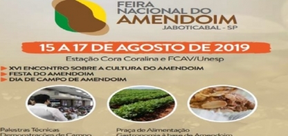 Cultura de amendoim transforma vidas na região de Jaboticabal, SP