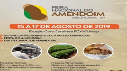 Cultura de amendoim transforma vidas na região de Jaboticabal, SP