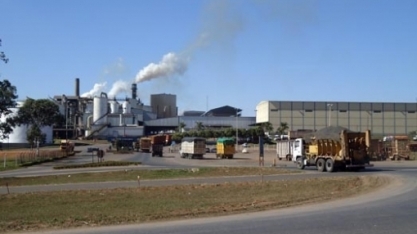 Cofco prevê ampliar aportes no Brasil; aponta maiores compras de soja