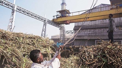 Usinas indianas querem produzir etanol direto do açúcar a fim de neutralizarem estoques
