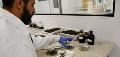 ISI Biomassa inicia identificação de plantas aquáticas para produção de biocombustível