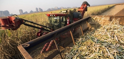 Companhia de Bioenergia de Angola produz 50 mil toneladas de açúcar em três meses